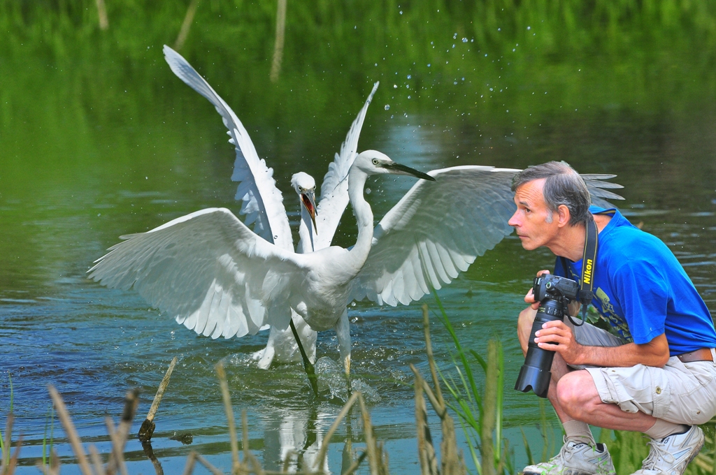 Открытие фотоэкспозиции «Птицы в объективе»
