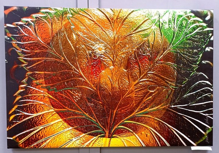 Выставка фотокартин Ольги Поповой «Красота глазами смотрящего»