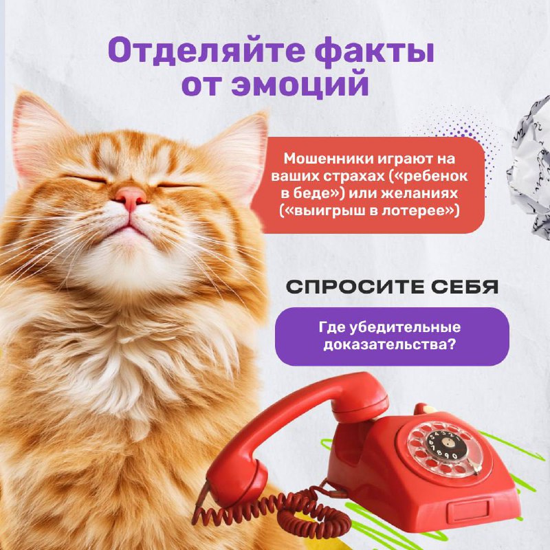 39b7d33a-4ac1-459f-800b-16145c3c6dc5.jpg