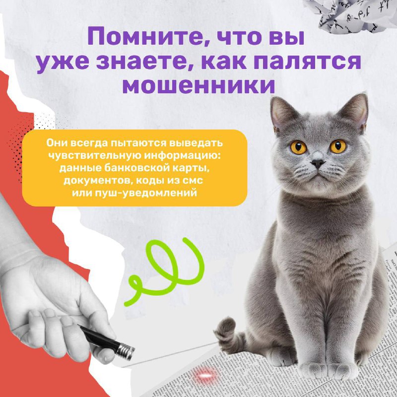 07e173c8-216e-4e6c-9cd2-3cd79de9ac8c.jpg