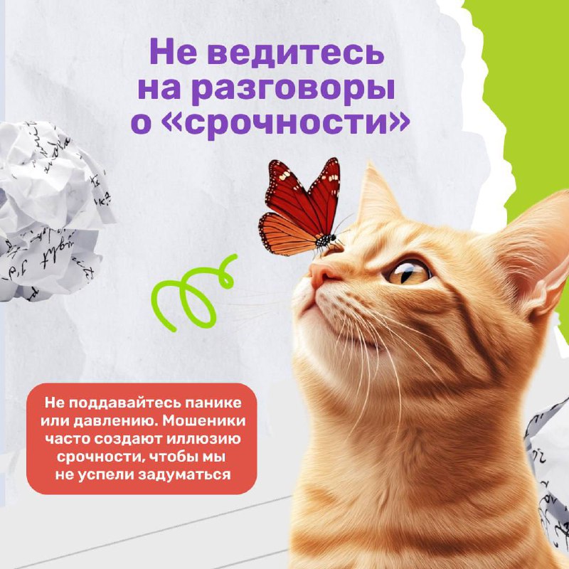 8003df0b-d18a-4a6d-86c9-316d2fcef9cf.jpg