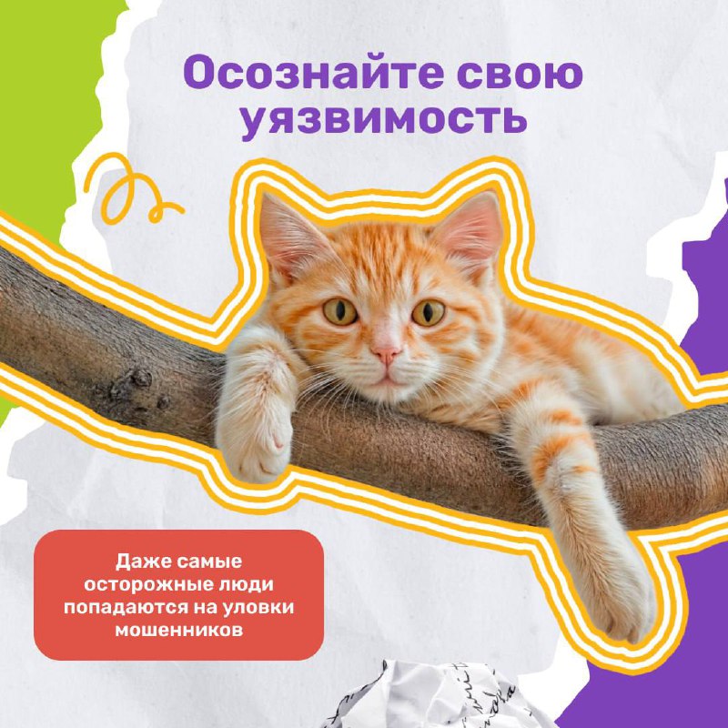 51077a18-42b3-4b45-a7e0-909ff0cad43d.jpg