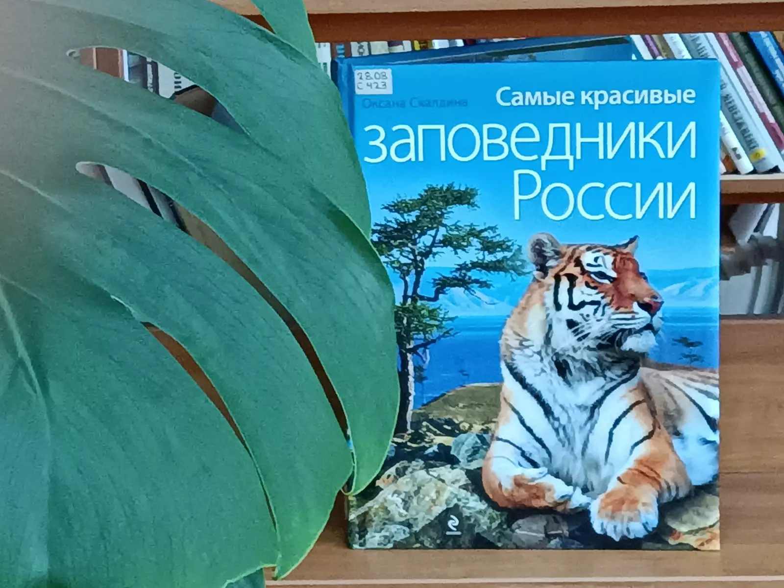 Самые красивые заповедники России