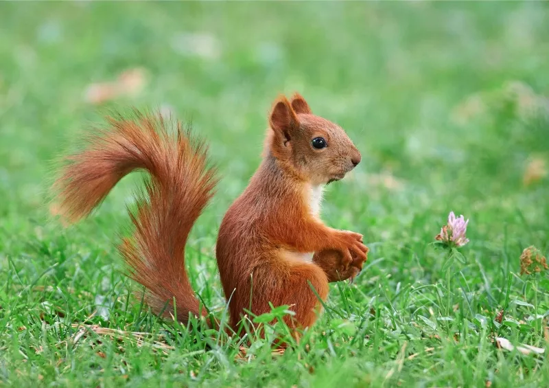 Выставка фотографий Павла Сторчилова «Грани взгляда»