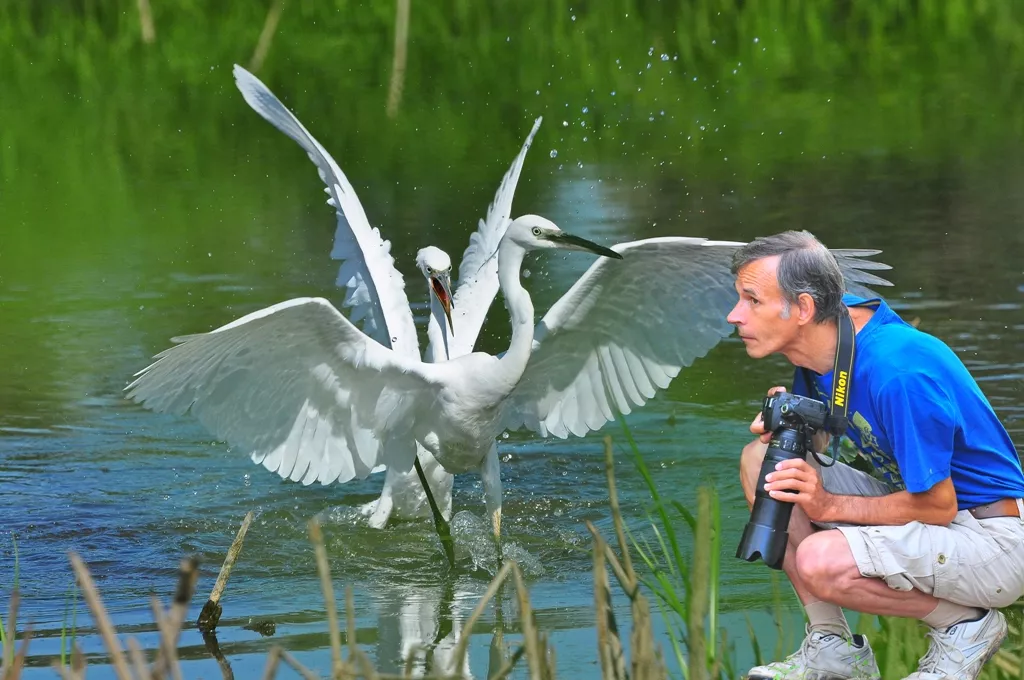 Фотовыставка «Птицы в объективе»