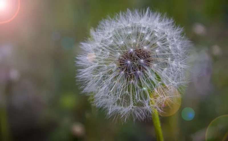 «Неслучайно случайные кадры»
